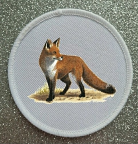 Inch fox iron - iron, on